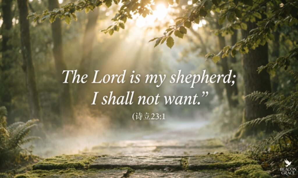 Bible verse for today morning
